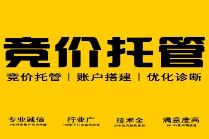 SEM专员必备技能与实战案例分享